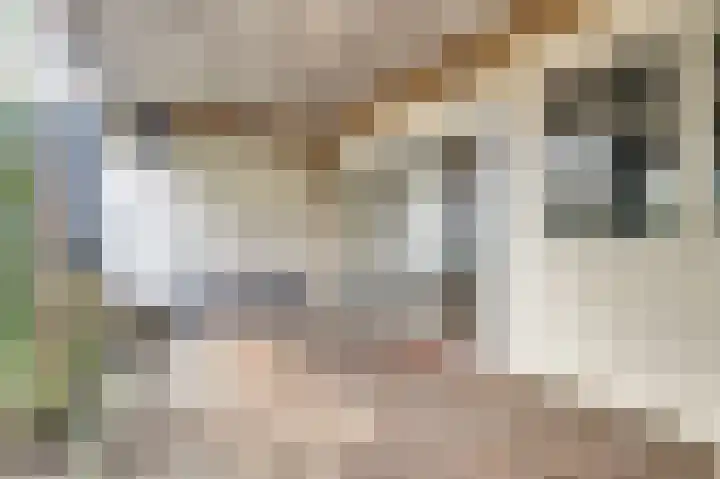 Rorikstraat 7 Wijk bij Duurstede thumbnail 41