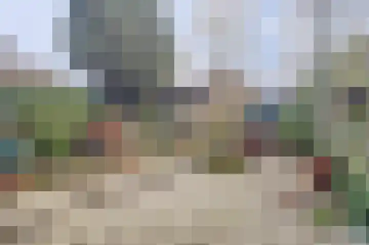 Rorikstraat 7 Wijk bij Duurstede thumbnail 42