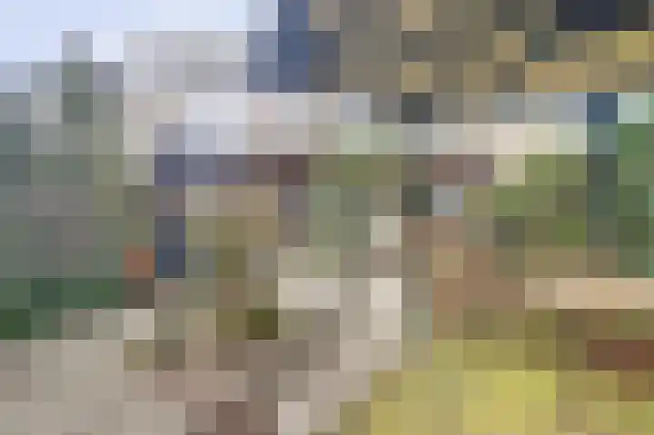 Rorikstraat 7 Wijk bij Duurstede thumbnail 43