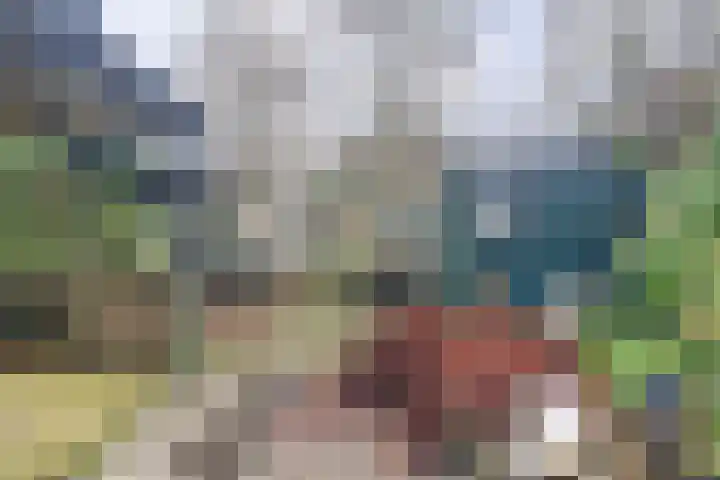 Rorikstraat 7 Wijk bij Duurstede thumbnail 44