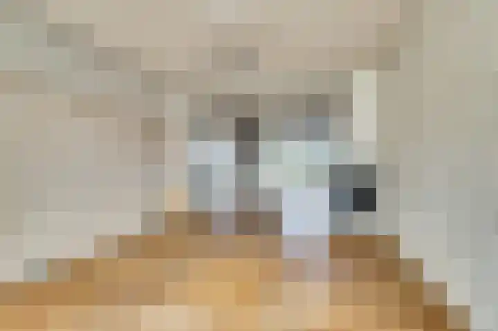 Rorikstraat 7 Wijk bij Duurstede thumbnail 5