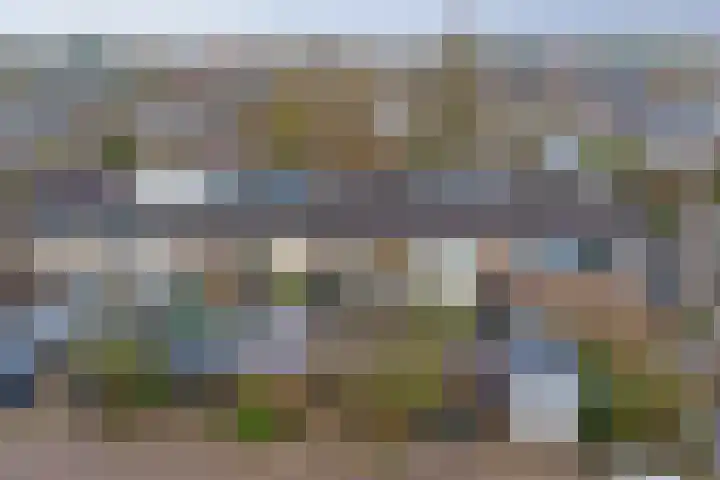 Rorikstraat 7 Wijk bij Duurstede thumbnail 51