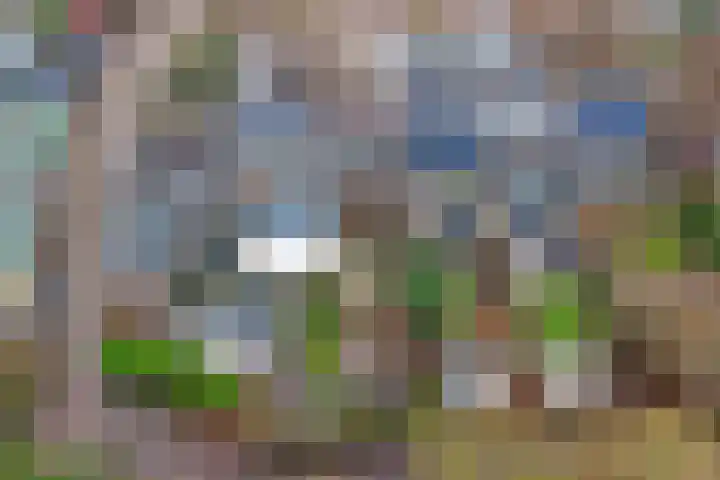Rorikstraat 7 Wijk bij Duurstede thumbnail 56