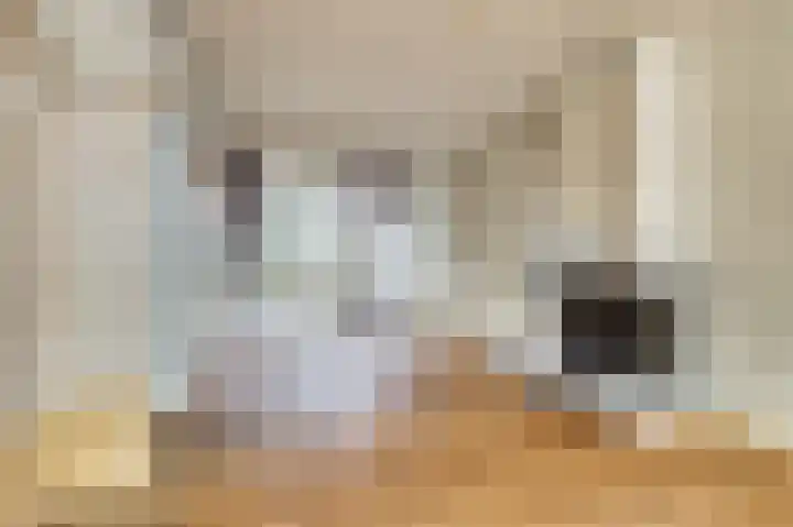 Rorikstraat 7 Wijk bij Duurstede thumbnail 6
