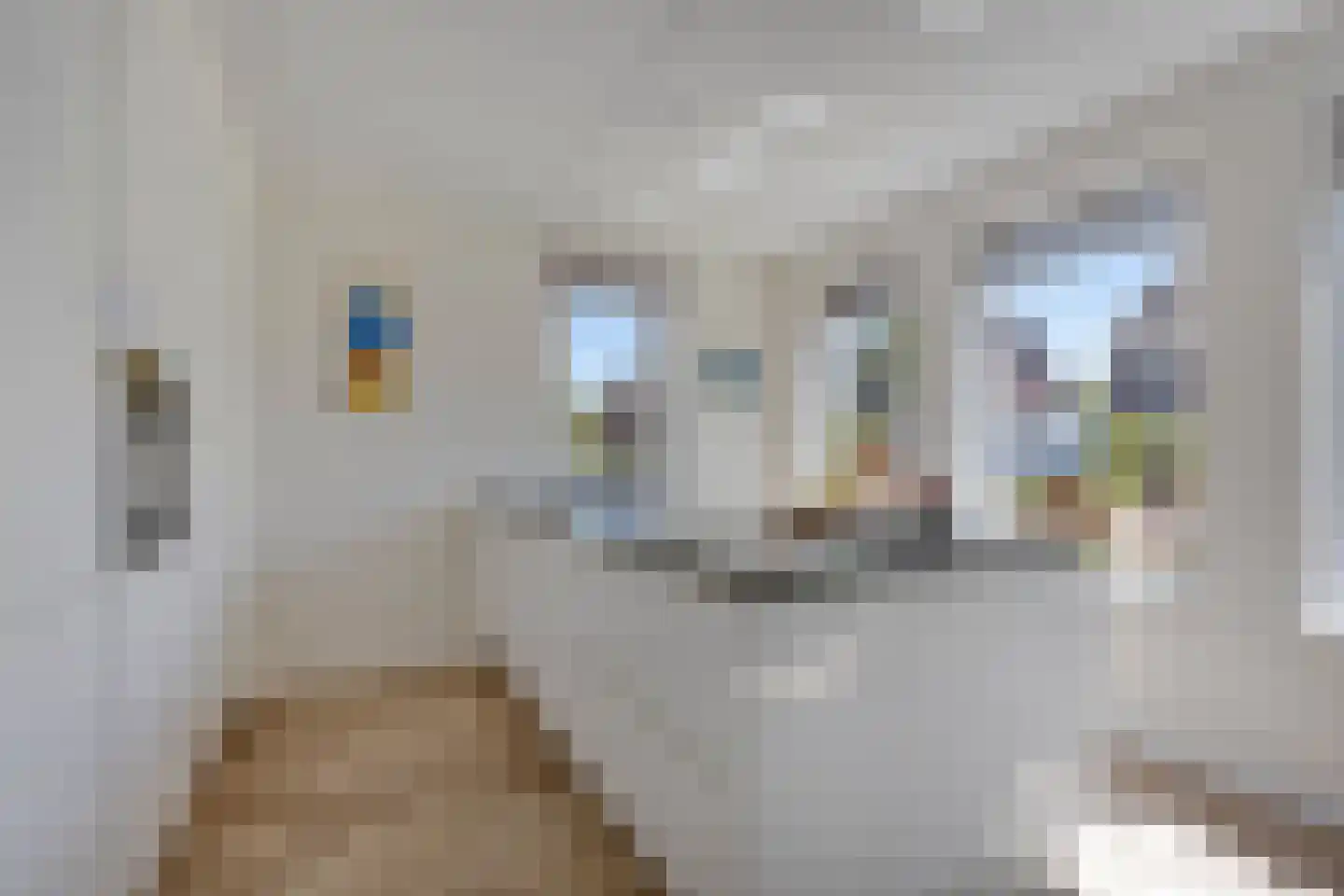 Roringererf 6 Diever thumbnail 10