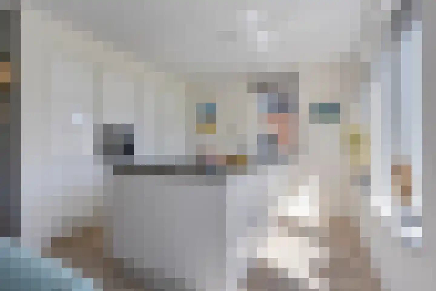 Roringererf 6 Diever thumbnail 12