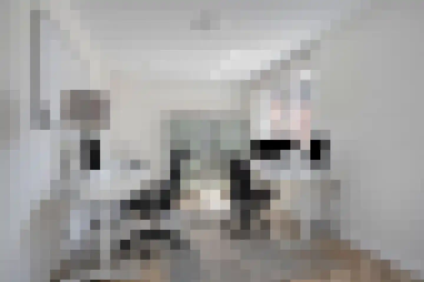 Roringererf 6 Diever thumbnail 13