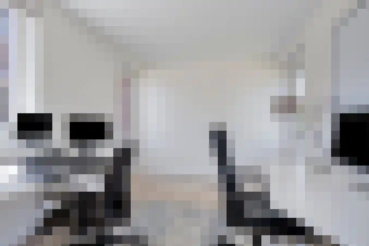 Roringererf 6 Diever thumbnail 14