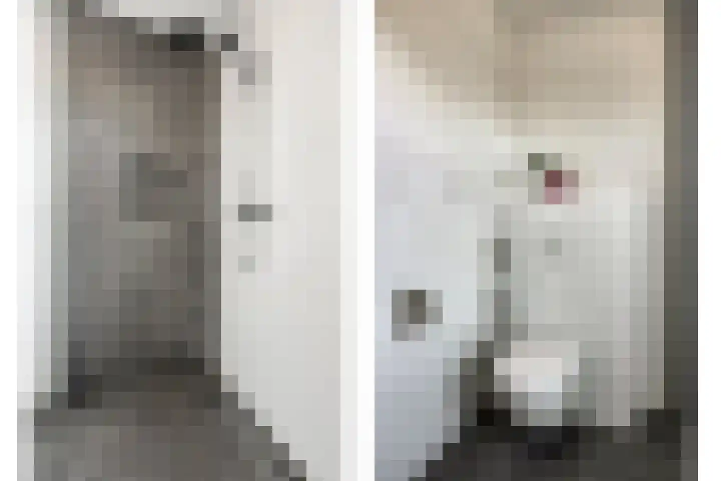 Roringererf 6 Diever thumbnail 23
