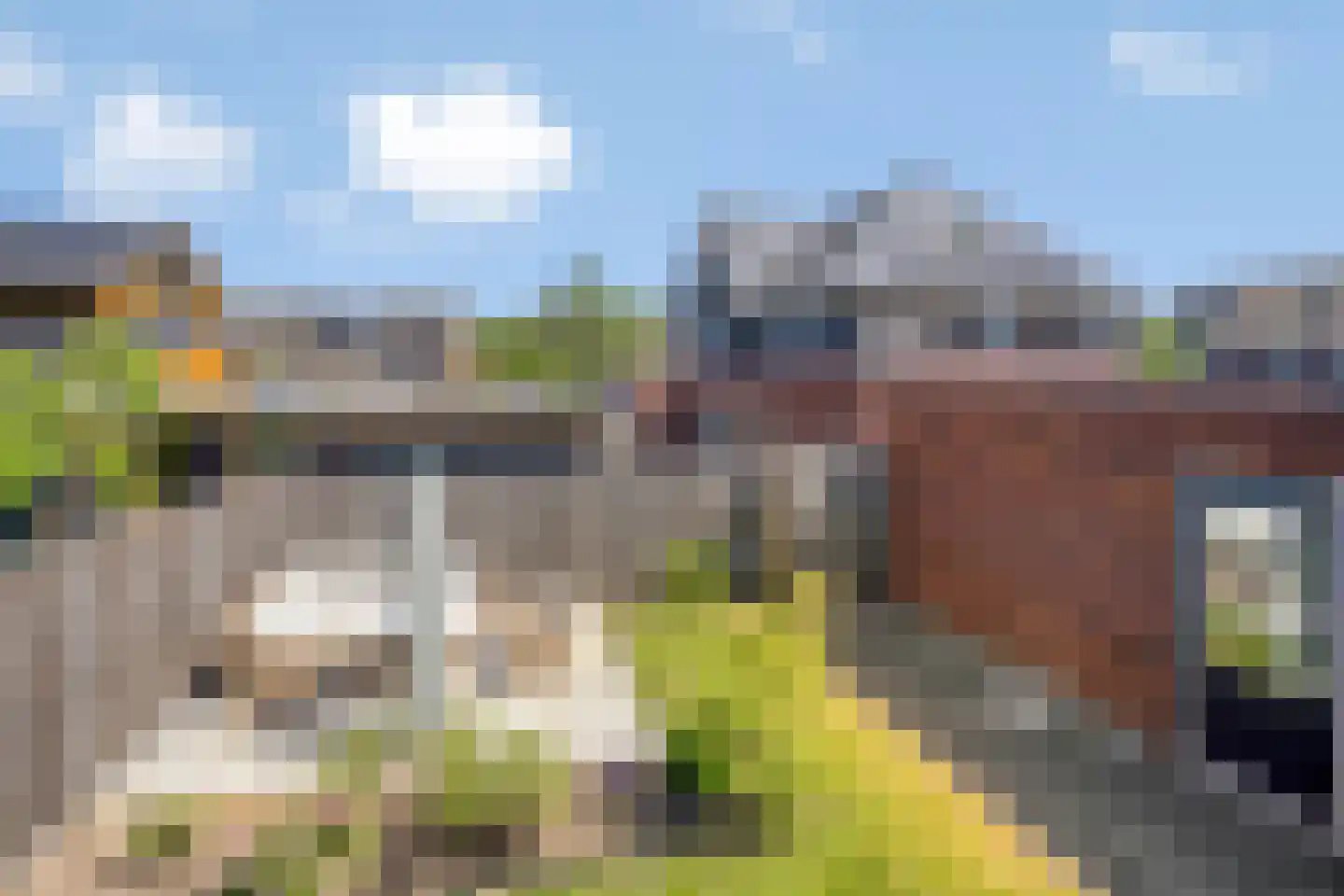 Roringererf 6 Diever thumbnail 25