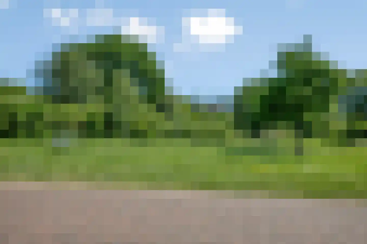 Roringererf 6 Diever thumbnail 37