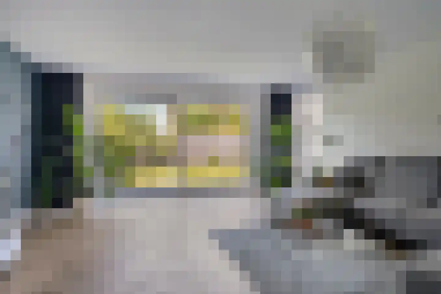 Roringererf 6 Diever thumbnail 6