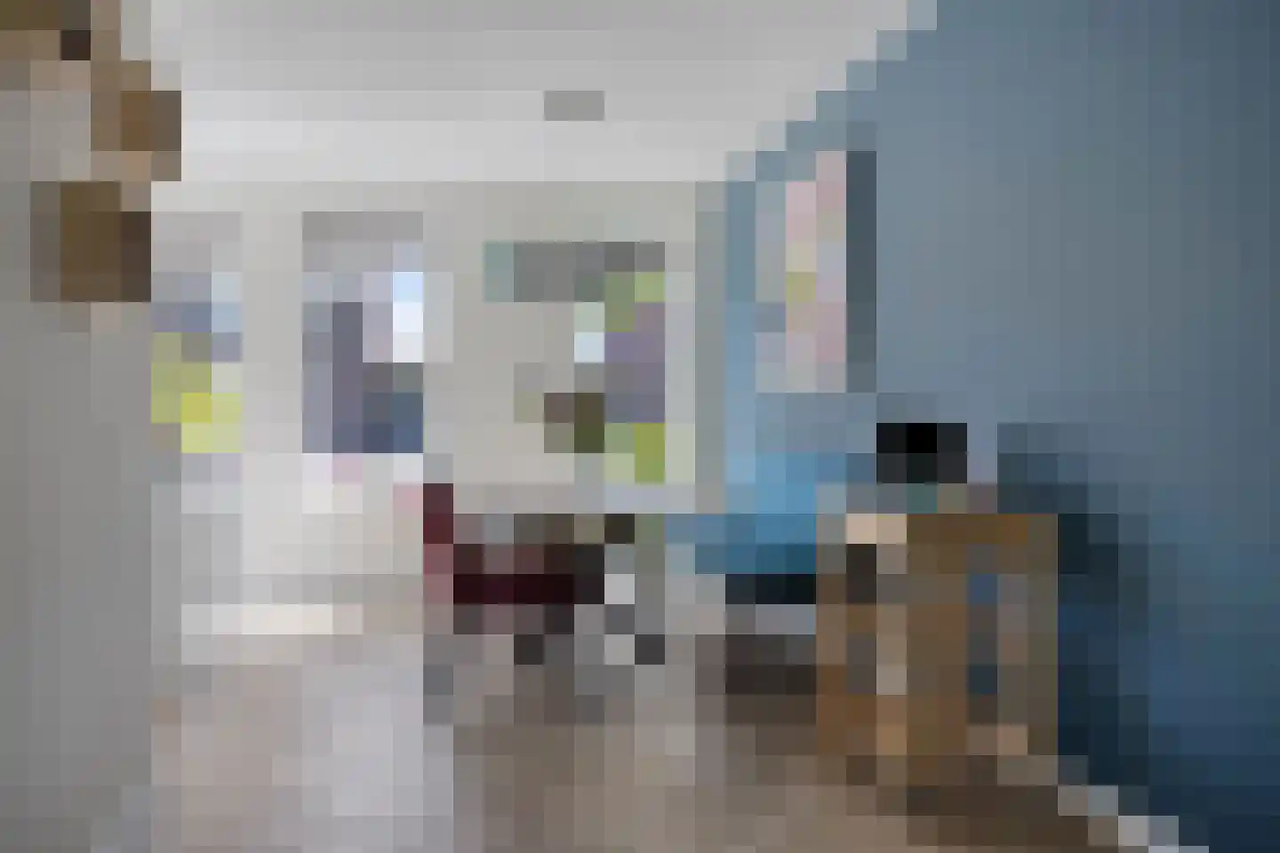 Roringererf 6 Diever thumbnail 9