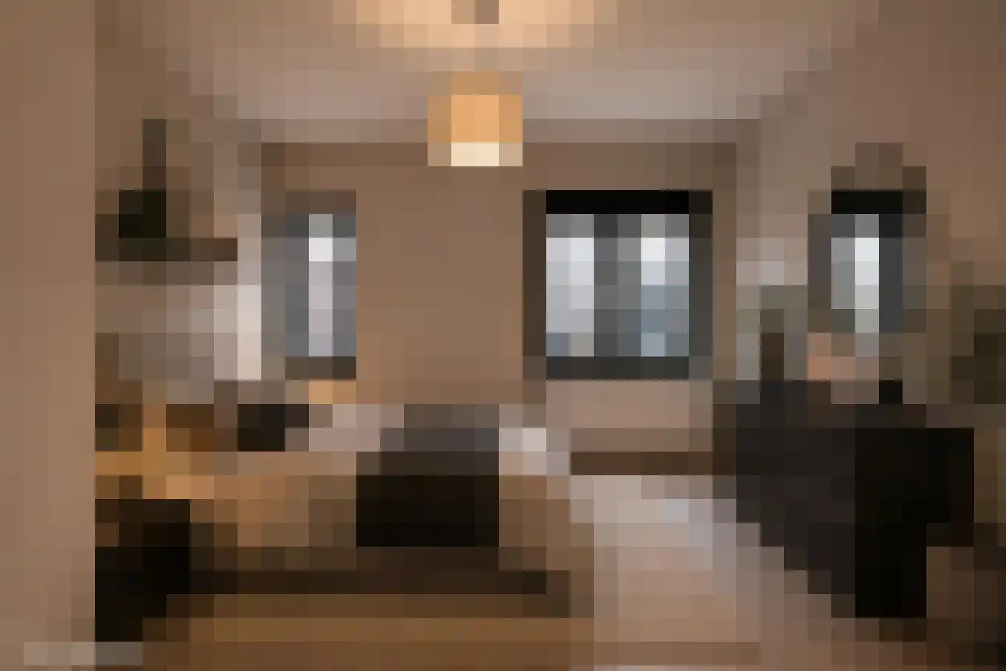 Röringstraat 1 c Geesteren thumbnail 19