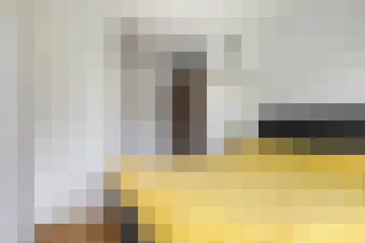 Ros Beiaartpad 10 Amersfoort thumbnail 17