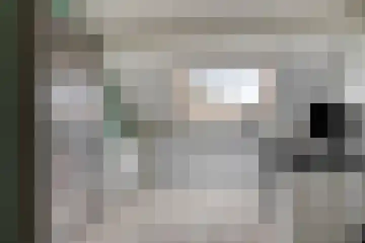 Ros Beiaartpad 10 Amersfoort thumbnail 26
