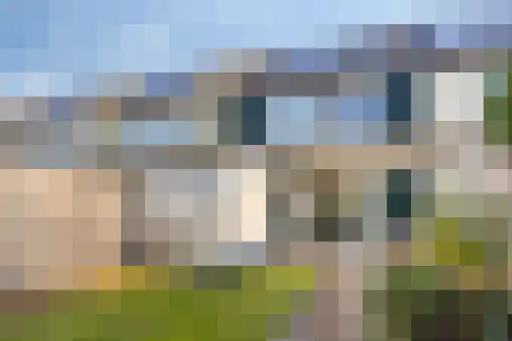 Ros Beiaartpad 10 Amersfoort thumbnail 28