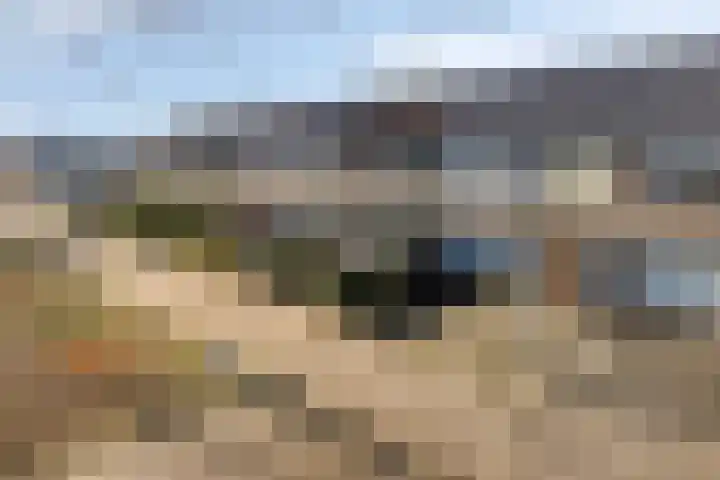 Ros Beiaartpad 10 Amersfoort thumbnail 30