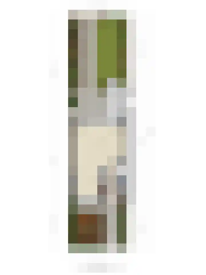 Ros Beiaartpad 10 Amersfoort thumbnail 31