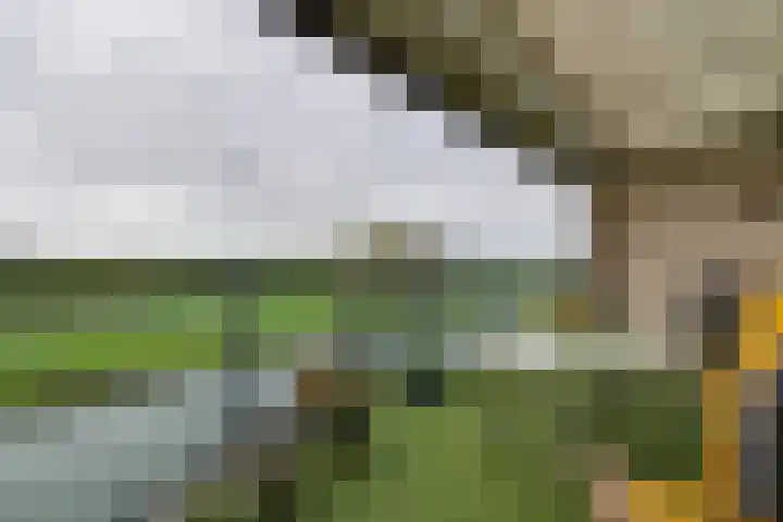 Rosa Luxemburgpark 106 Purmerend thumbnail 33