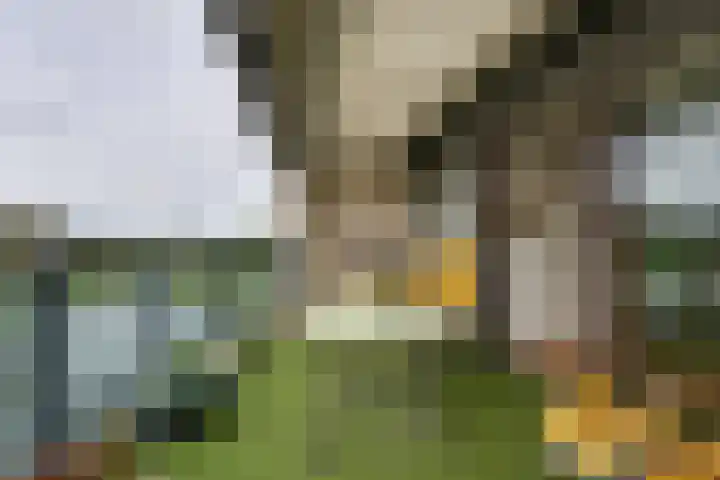 Rosa Luxemburgpark 106 Purmerend thumbnail 34