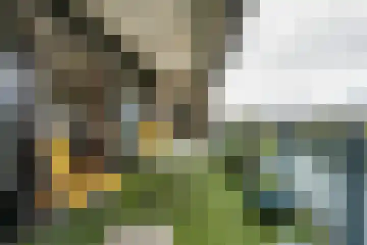 Rosa Luxemburgpark 106 Purmerend thumbnail 35