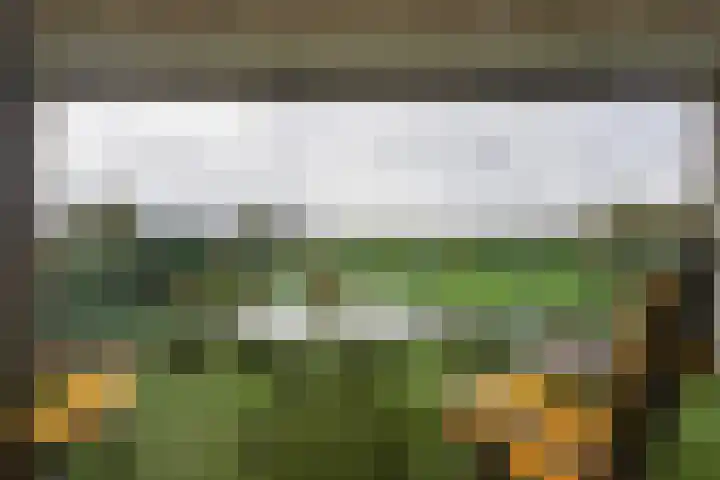 Rosa Luxemburgpark 106 Purmerend thumbnail 5