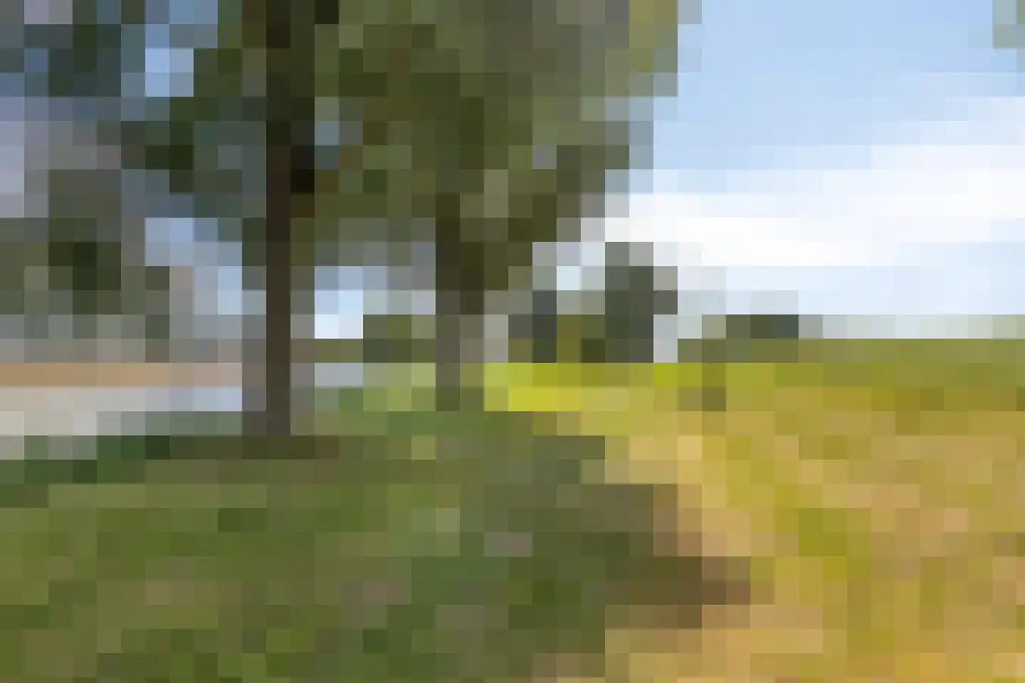 Rosa Luxemburgpark 83 Purmerend thumbnail 37