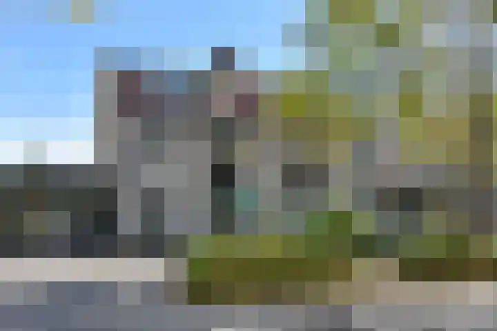 Rosa Manuslaan 25 in Pijnacker