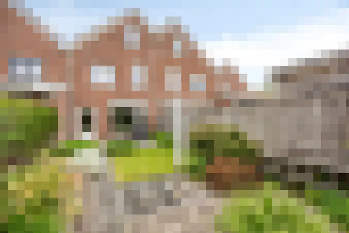 Rosa Manussingel 97 Heemskerk thumbnail 21