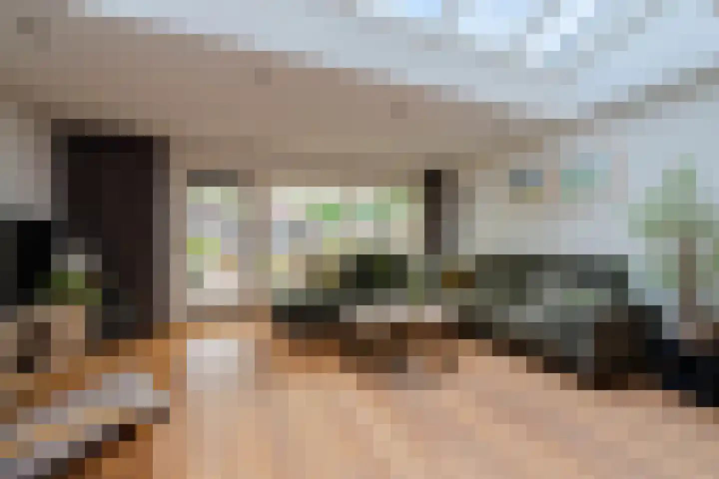 Rosa Manusstraat 57 Venray thumbnail 15