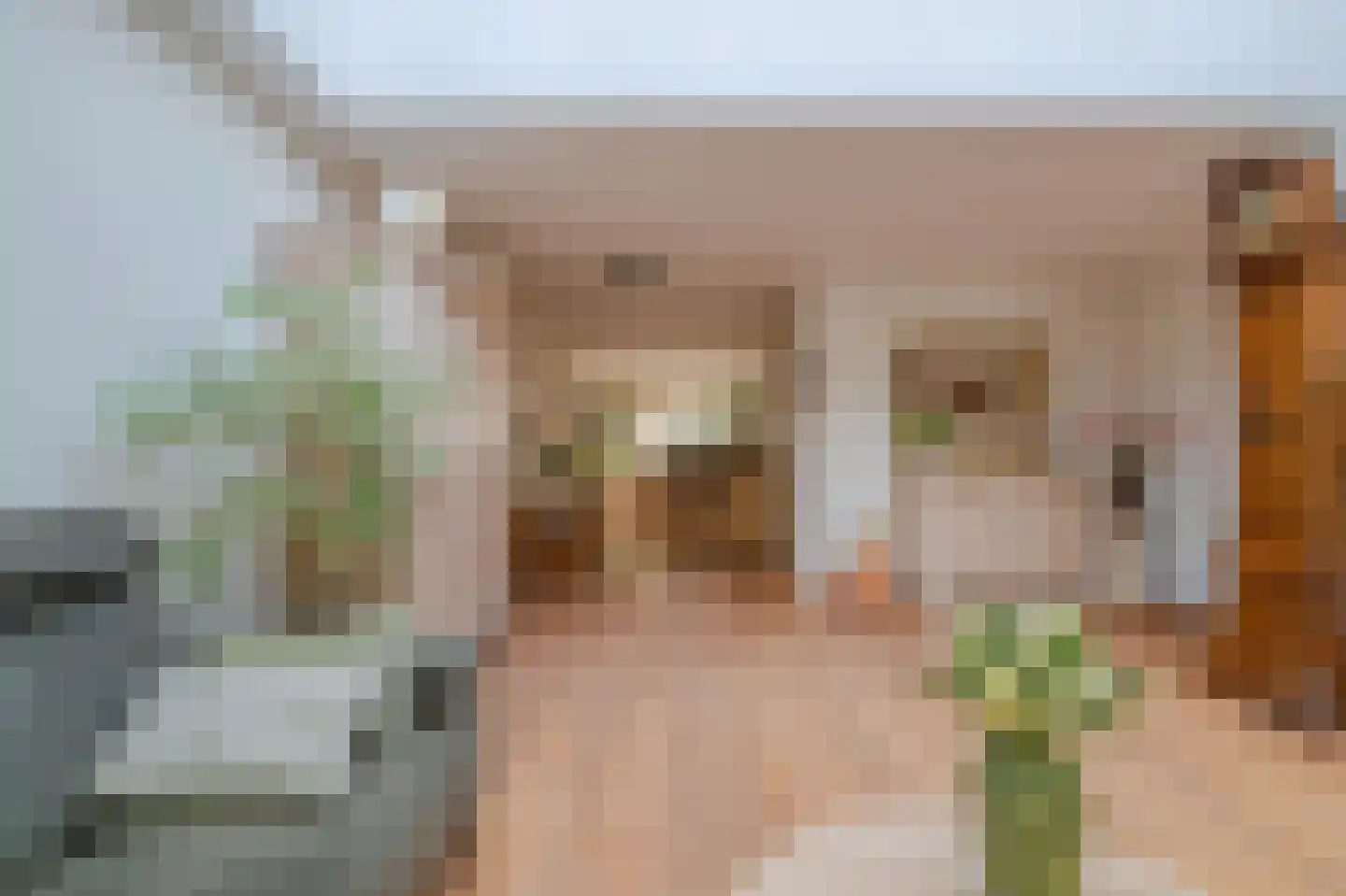 Rosa Manusstraat 57 Venray thumbnail 18
