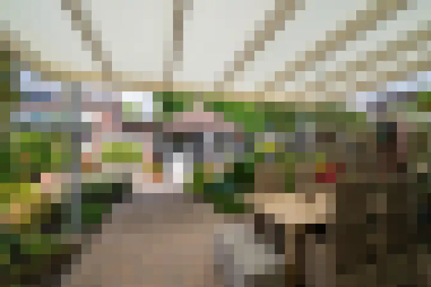 Rosa Manusstraat 57 Venray thumbnail 41