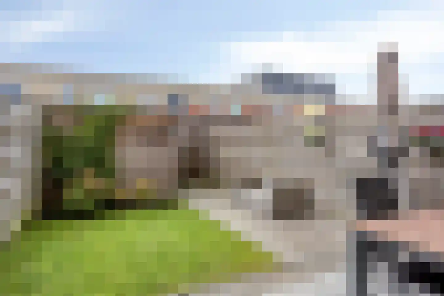 Rosa Manustuin 18 Heerhugowaard thumbnail 5