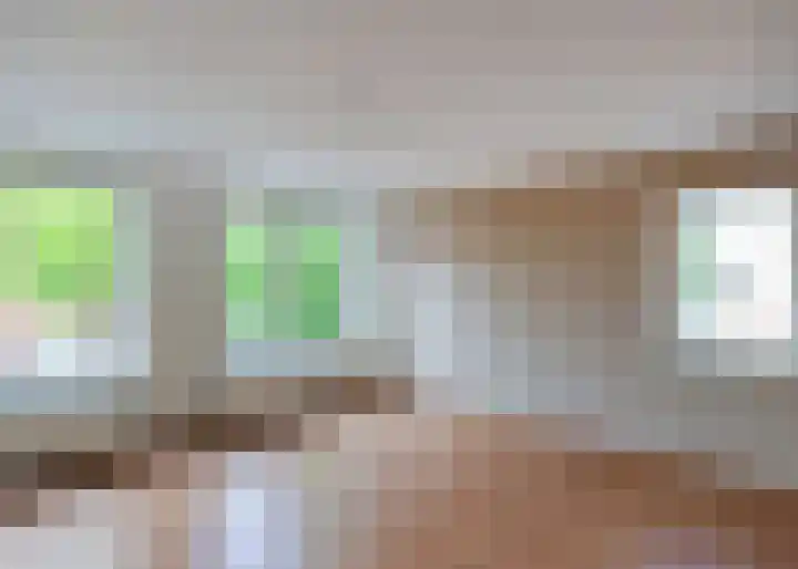 Rosa Manustuin 3 Heerhugowaard thumbnail 10