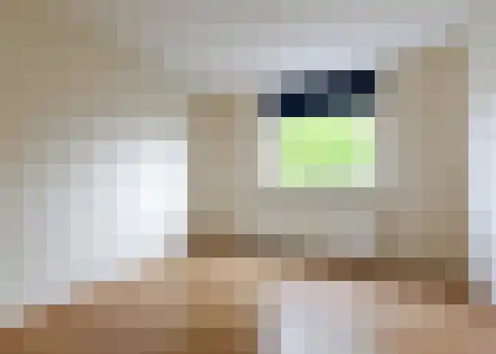 Rosa Manustuin 3 Heerhugowaard thumbnail 12