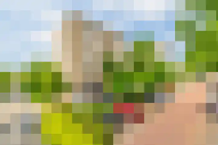 Rosa Spierlaan 134 Amstelveen thumbnail 22