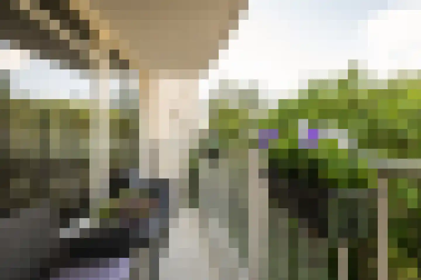 Rosa Spierlaan 140 Amstelveen thumbnail 18