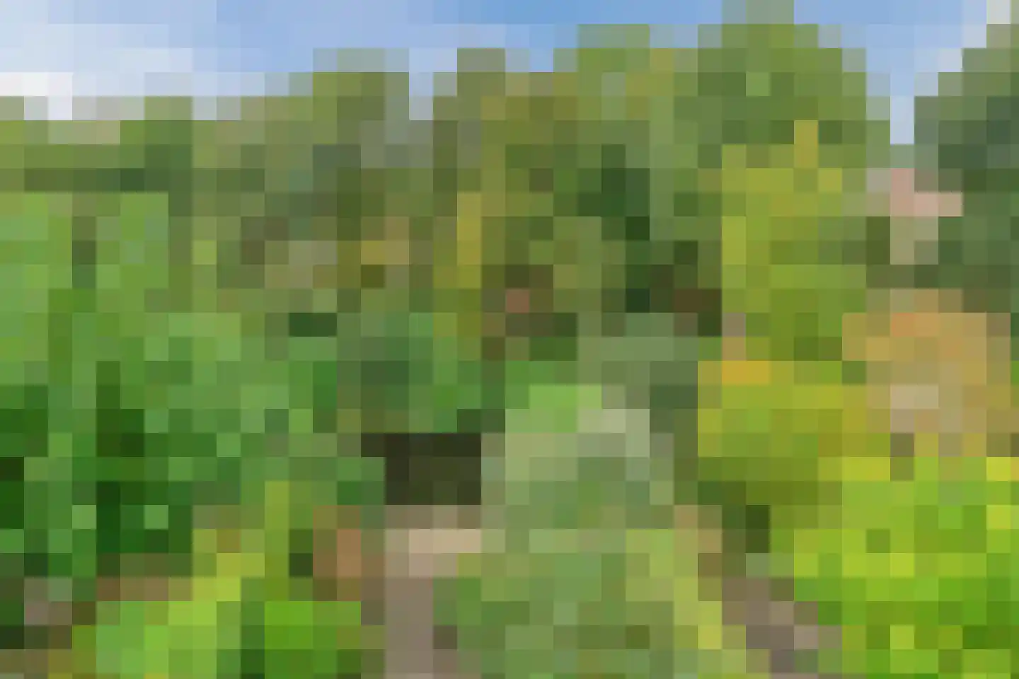 Rosa Spierlaan 15 Oegstgeest thumbnail 33