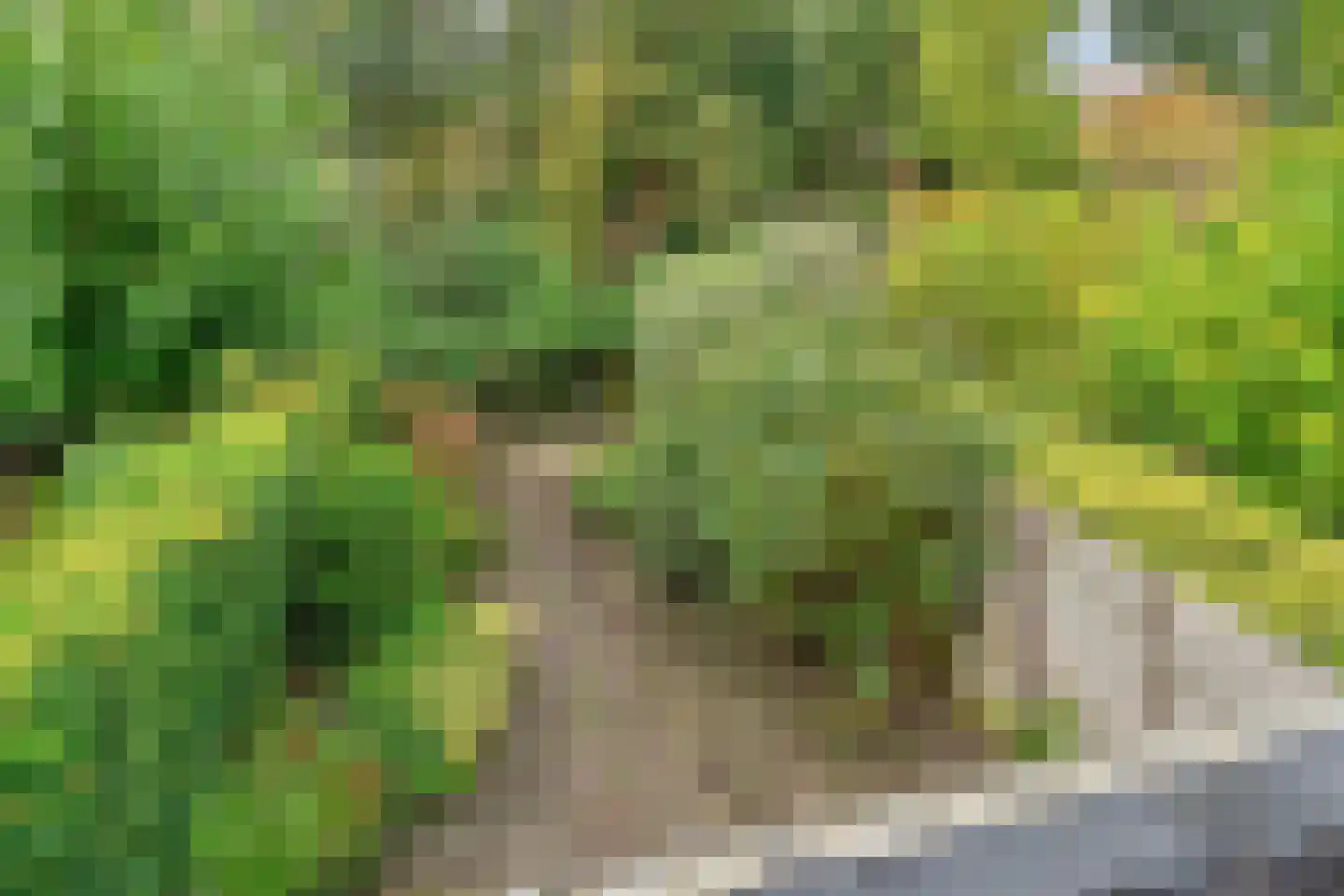 Rosa Spierlaan 15 Oegstgeest thumbnail 34
