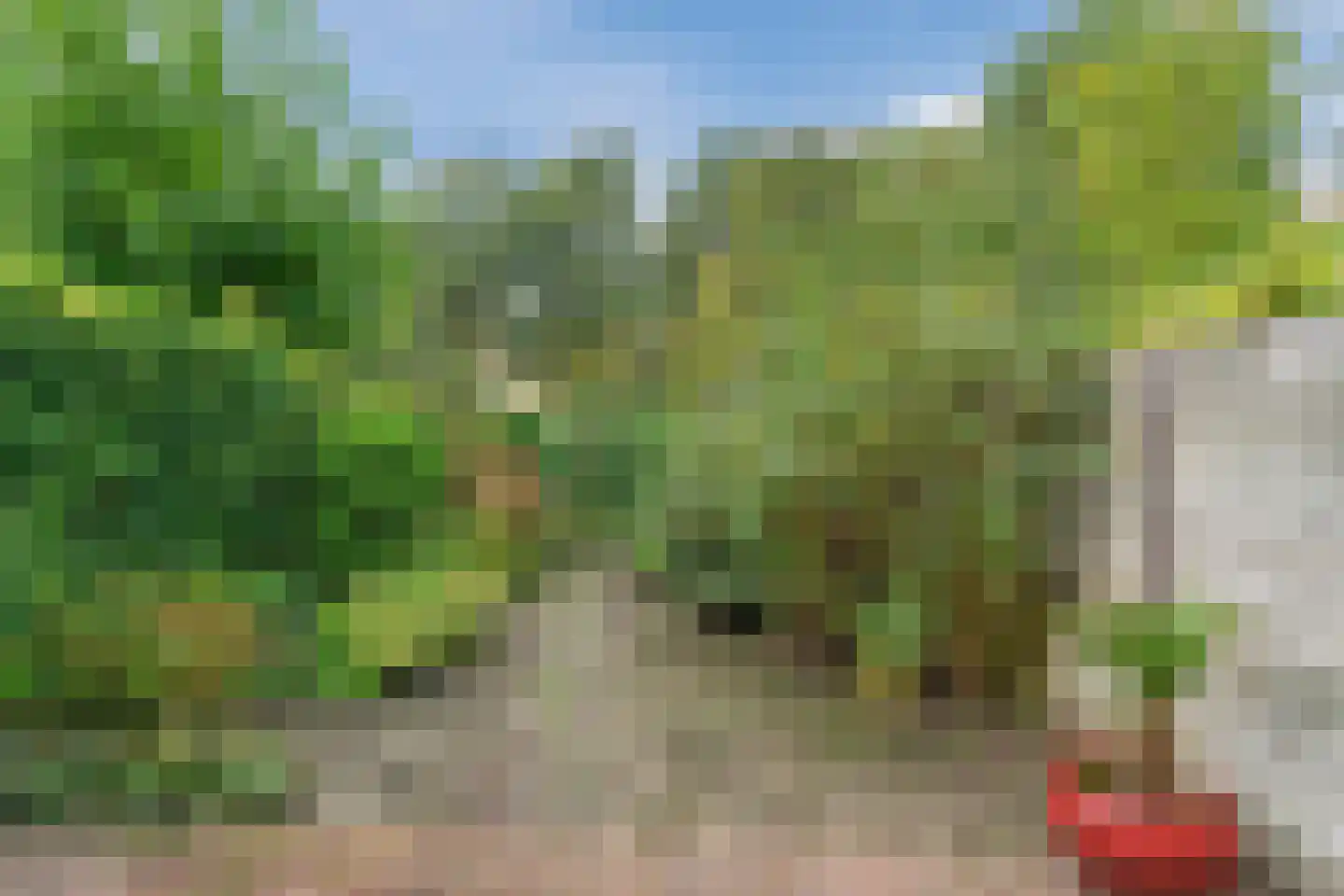 Rosa Spierlaan 15 Oegstgeest thumbnail 35