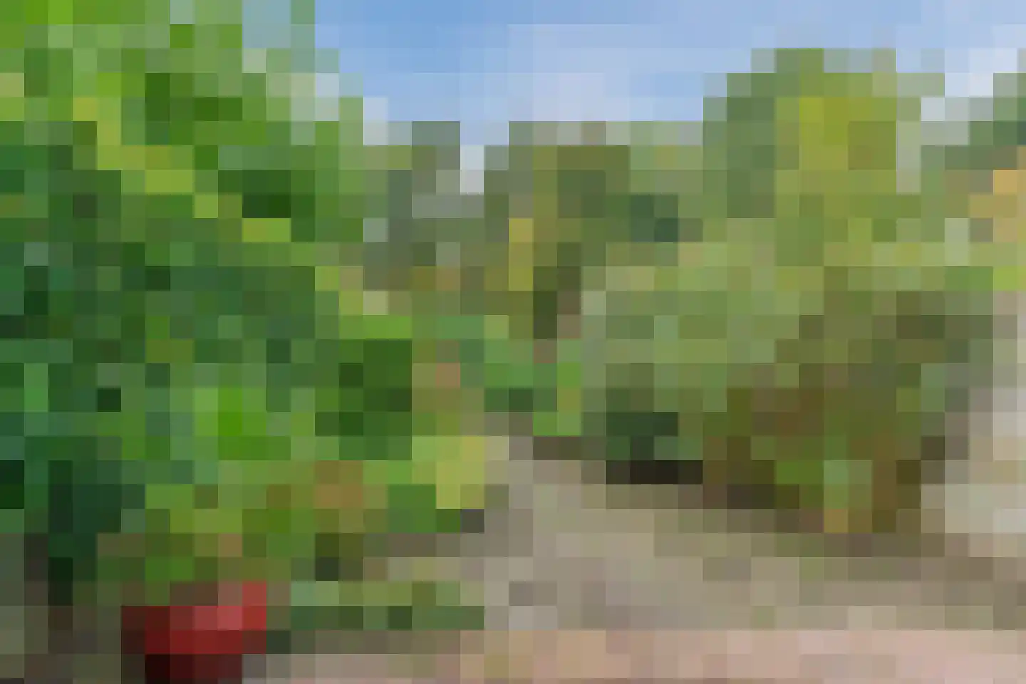 Rosa Spierlaan 15 Oegstgeest thumbnail 36