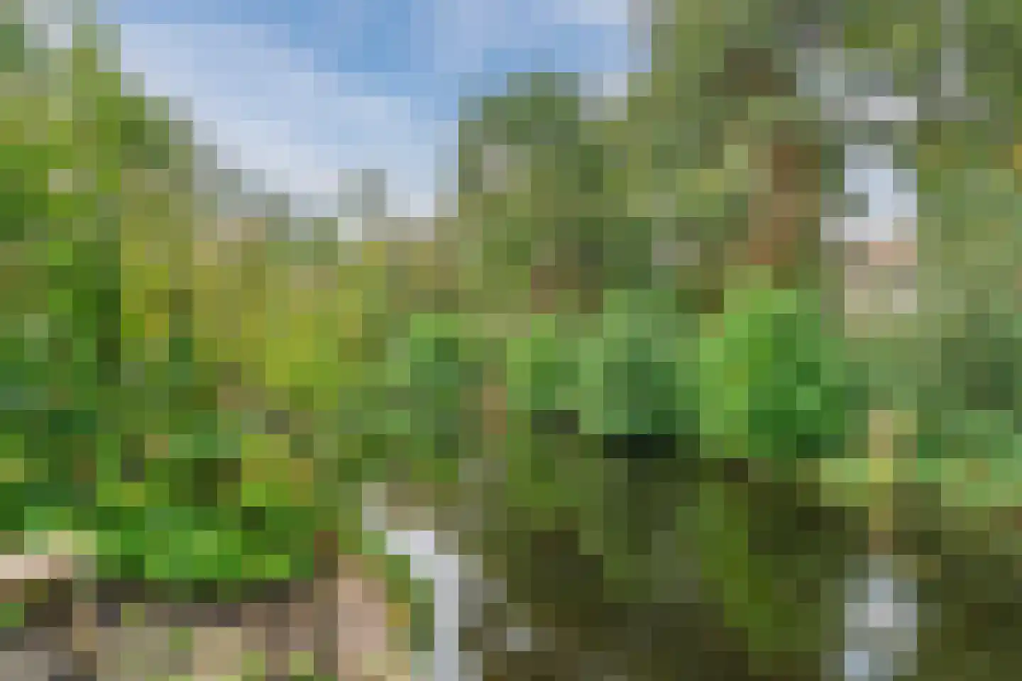 Rosa Spierlaan 15 Oegstgeest thumbnail 40