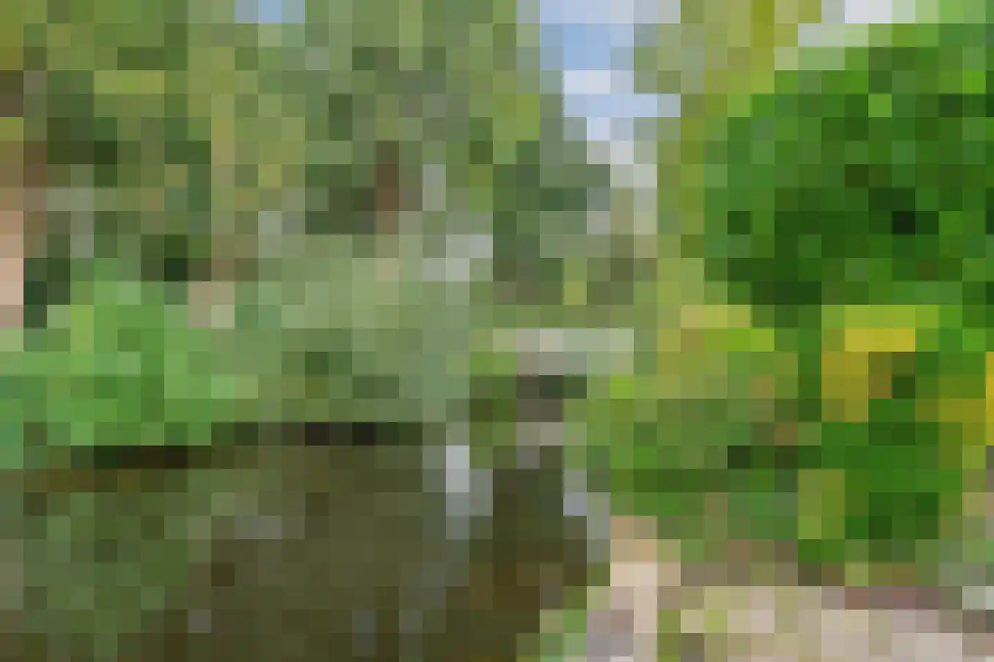 Rosa Spierlaan 15 Oegstgeest thumbnail 41