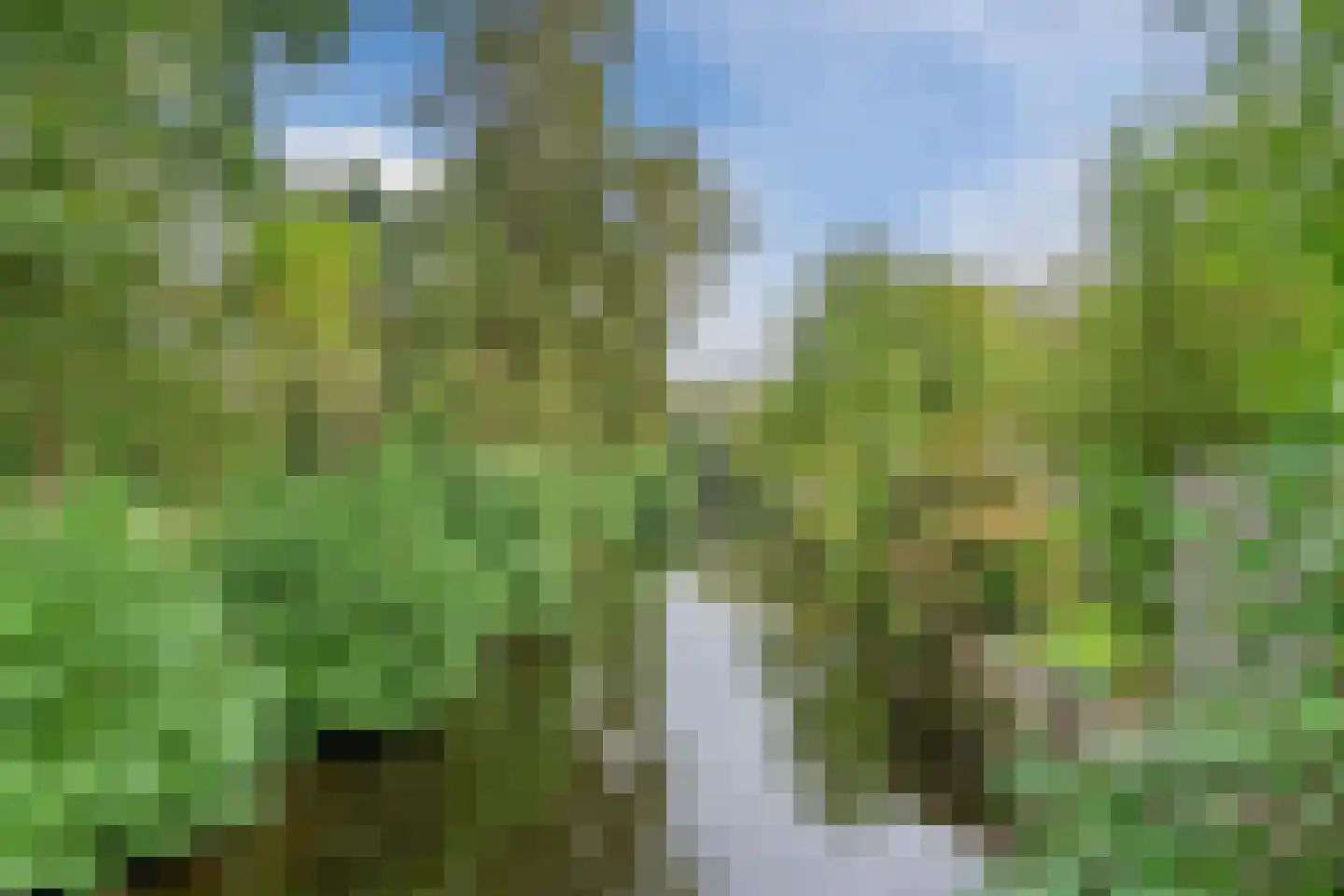 Rosa Spierlaan 15 Oegstgeest thumbnail 42