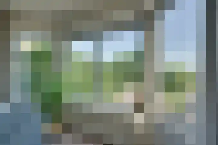 Rosa Spierlaan 360 Amstelveen thumbnail 18