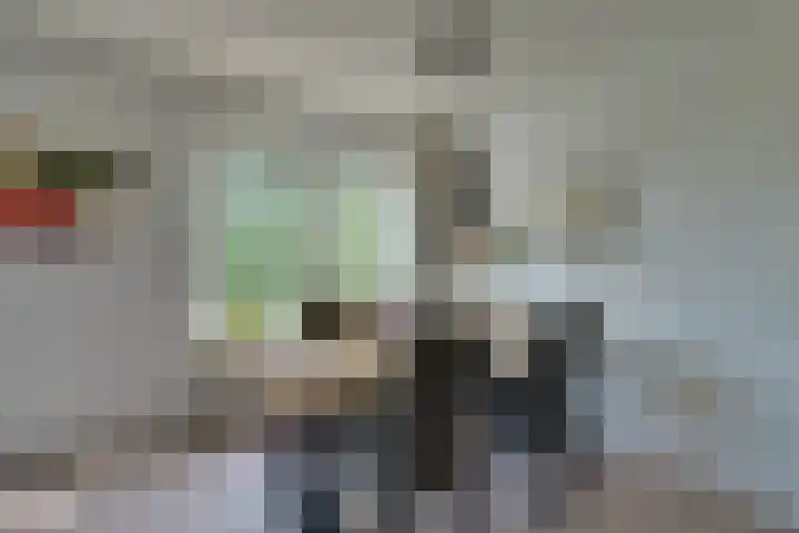 Rosa Spierlaan 360 Amstelveen thumbnail 22