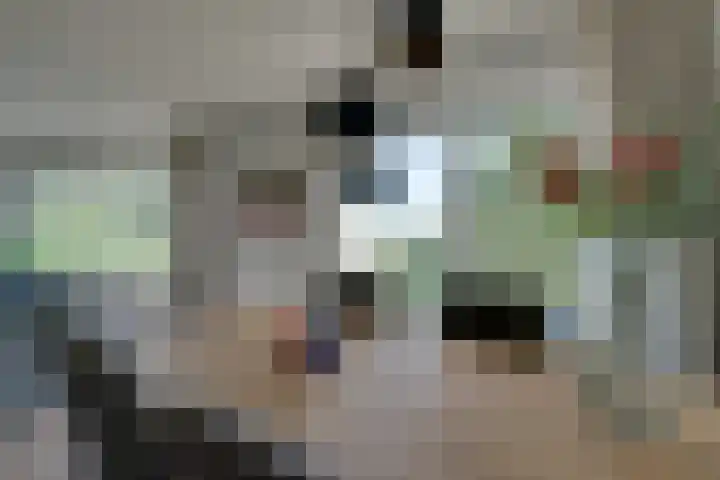 Rosa Spierlaan 360 Amstelveen thumbnail 24
