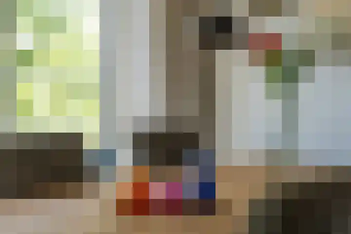 Rosa Spierlaan 360 Amstelveen thumbnail 25