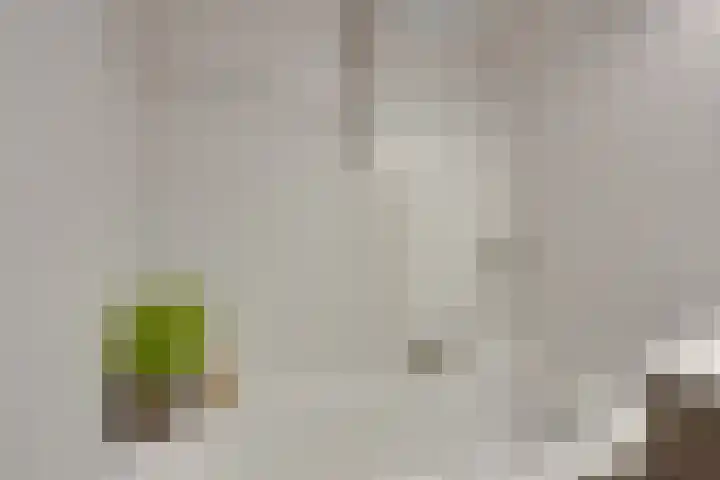 Rosa Spierlaan 360 Amstelveen thumbnail 36